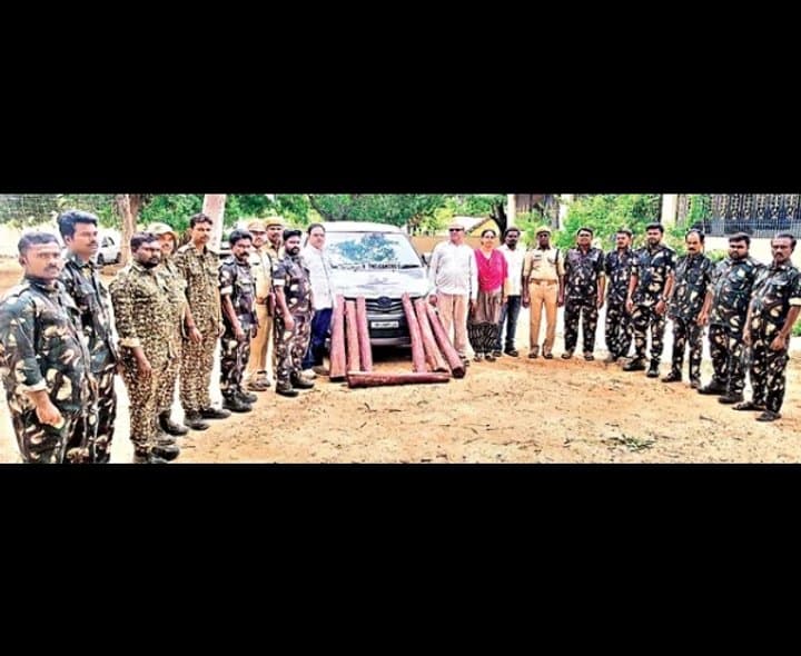 ఏడు ఎర్రచందనం దుంగల స్వాధీనం