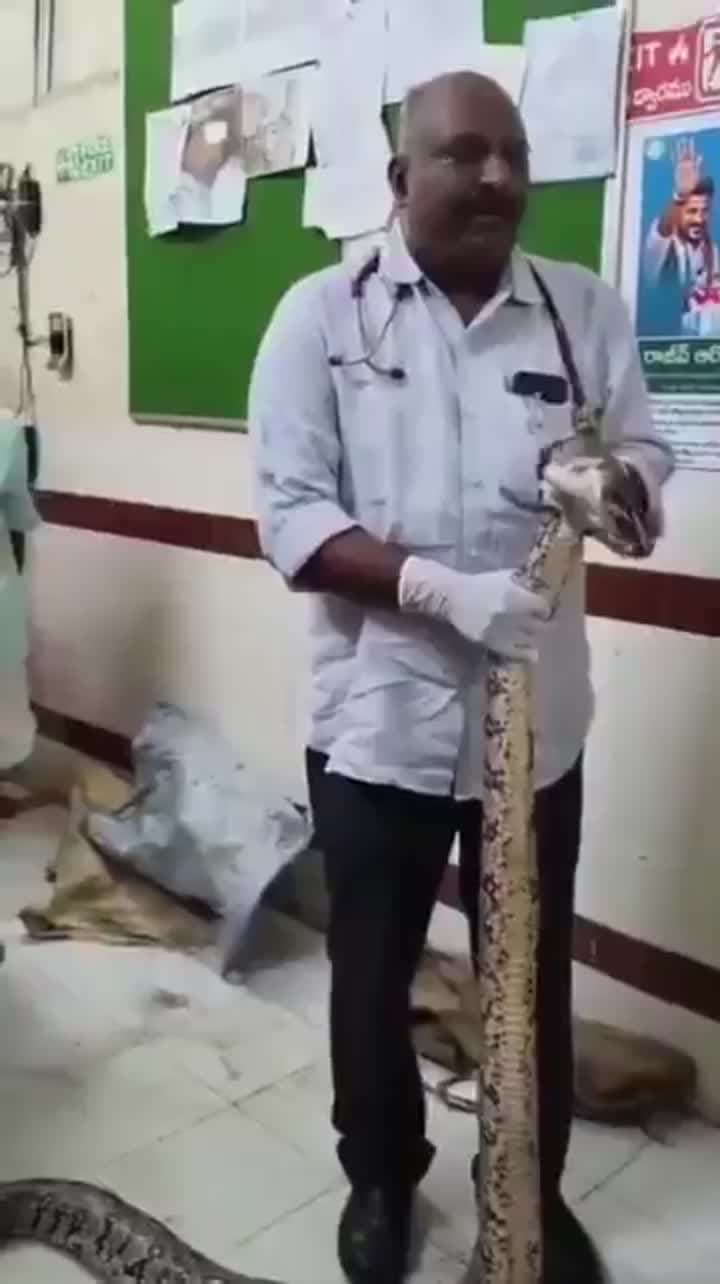 మహిళా రైతుపై కొండచిలువ దాడి
