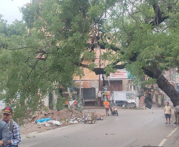 ఉప్పల్లో కూలిన భారీ చెట్టు.. రాకపోకలకు అంతరాయం.