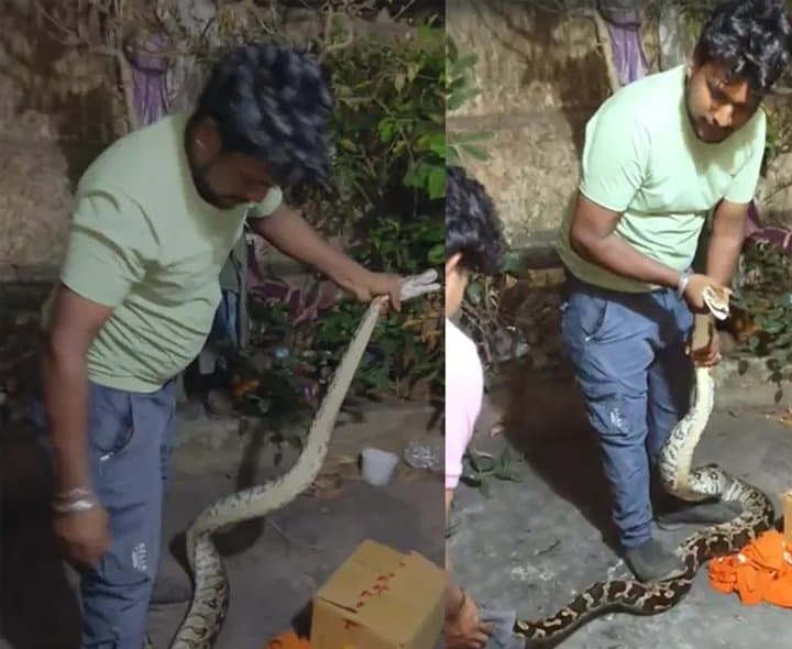 ఎంవీపీ కాలనీలో కొండచిలువ