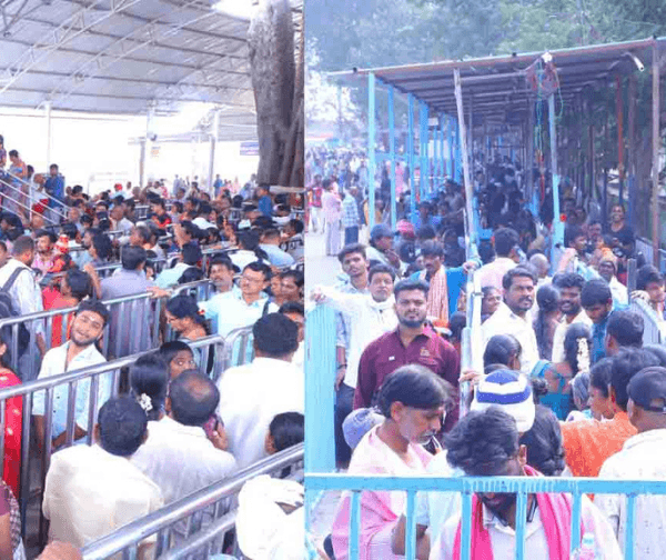 వేములవాడలో భక్తుల సందడి: భీమేశ్వరాలయంలో కోడె మొక్కుల వెల్లువ!