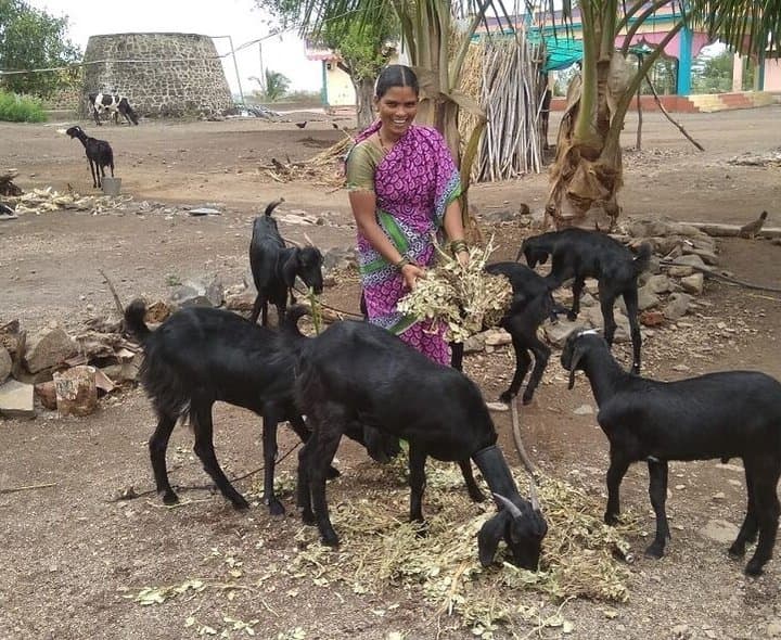 రైతులకు కిసాన్ క్రెడిట్ కార్డులు