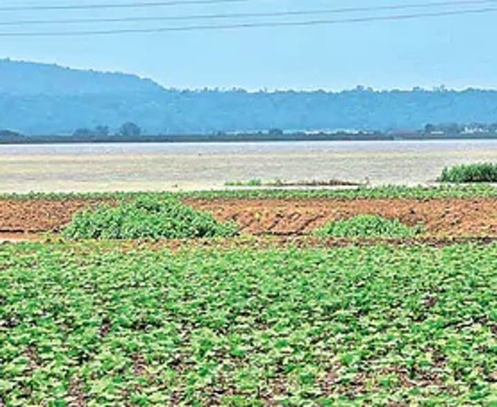 స్వర్ణ ప్రాజెక్టు భూములు కబ్జాలో